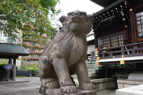 DSC04486.JPG