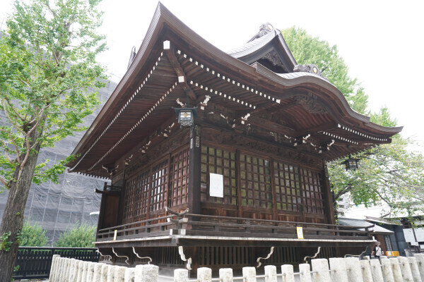 DSC04488.JPG