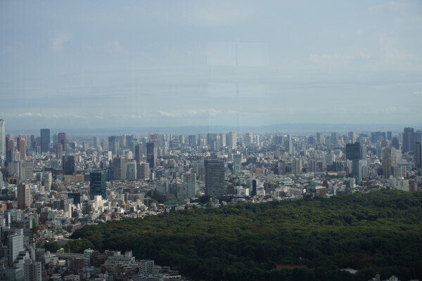 DSC04506.JPG