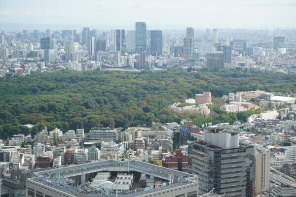 DSC04520.JPG