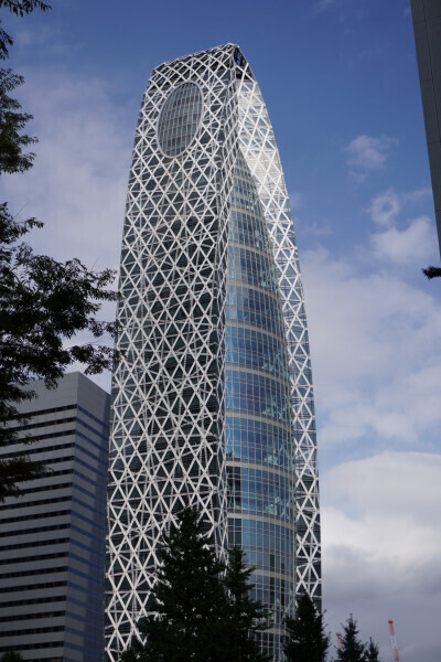 DSC04546.JPG