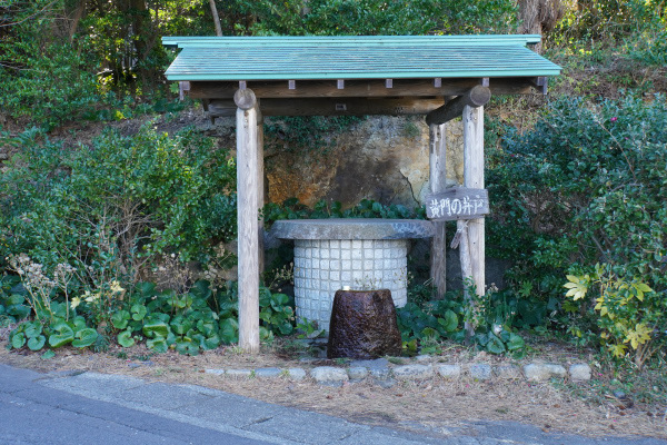 DSC07299.JPG