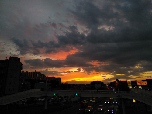 DSC_1329.JPG