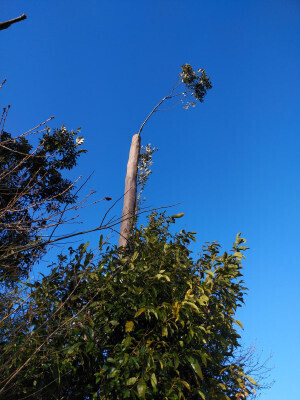 DSC_3794.JPG