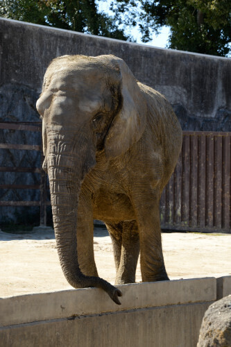 DSC_7388.JPG
