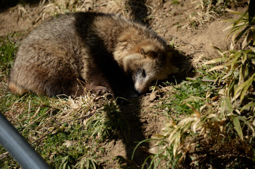 DSC_7428.JPG