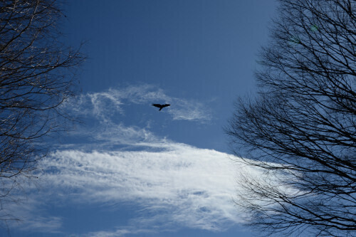 DSC_7450.JPG