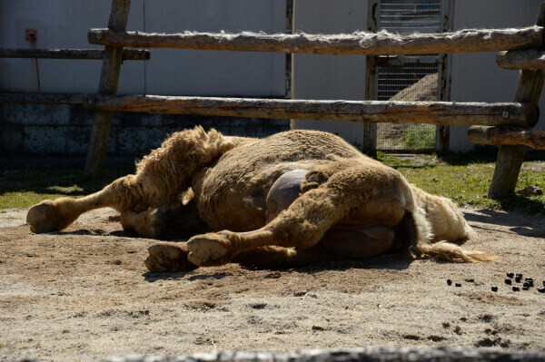 DSC_7713.JPG