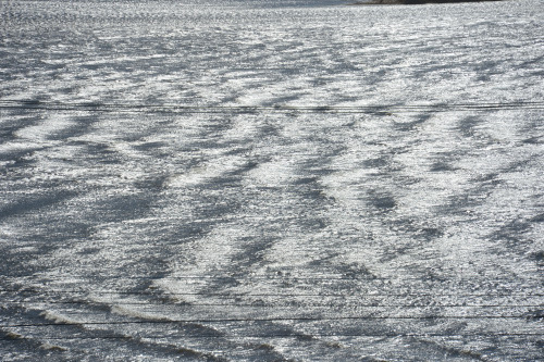DSC_1668.JPG