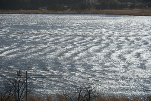 DSC_1678.JPG
