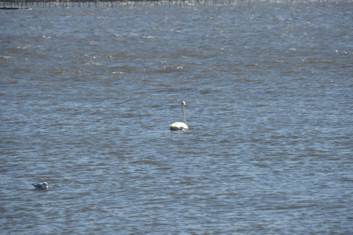 DSC_1698.JPG
