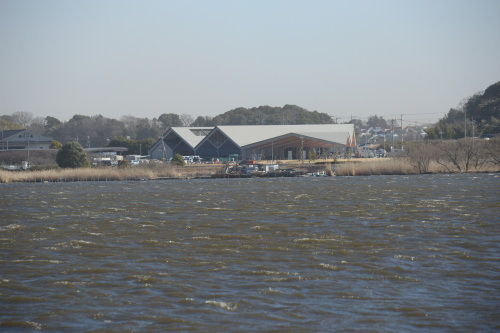 DSC_1726.JPG