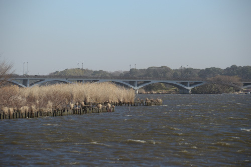 DSC_1727.JPG