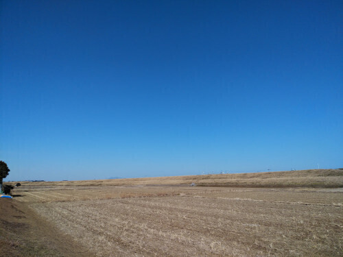 DSC_2005.JPG