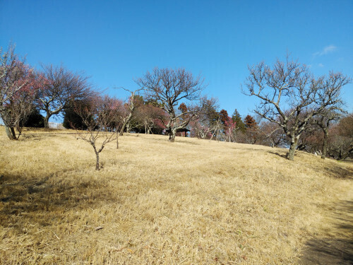 DSC_2022.JPG
