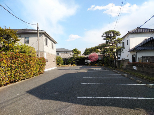 DSC_2055.JPG