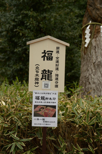 DSC_2219.JPG