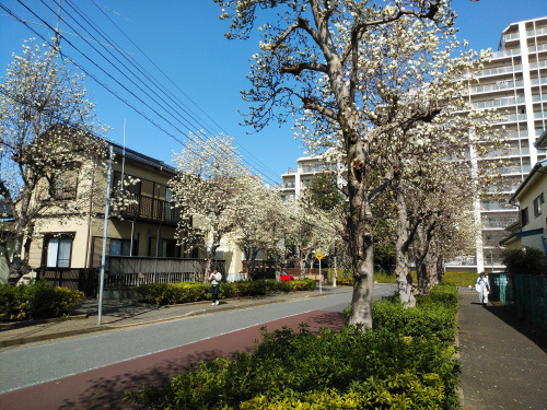 DSC_2224.JPG