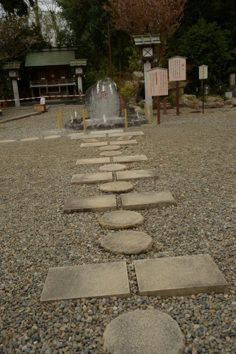 DSC_2231.JPG