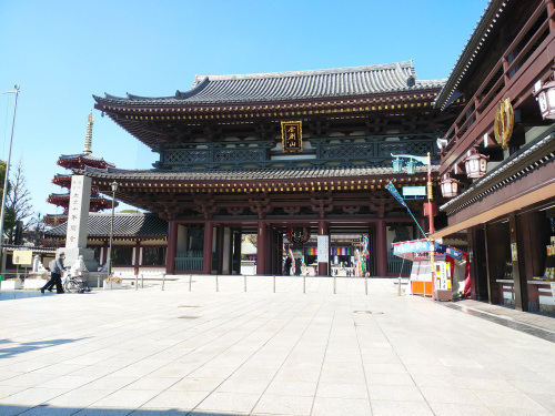 DSC_2377.JPG