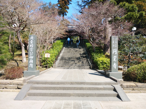 DSC_2381.JPG